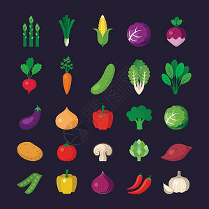 素食主义的矢量艺术素食矢量艺术插图图片