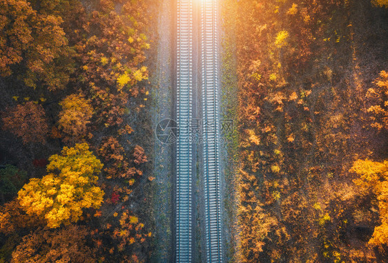 在秋天日落时美丽的森林中铁路图片