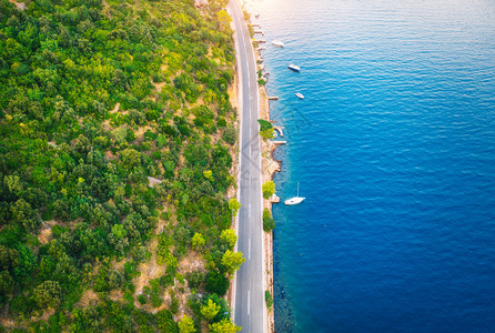 在美丽的绿色森林和夏季日落时的海上船只中图片