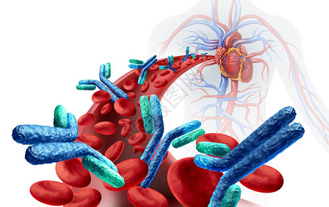 系统解剖人体血液中的抗与免疫系统有关防治疾病作为抗体或免疫球蛋白的医疗象征在动脉解剖概念中作为3d插图背景