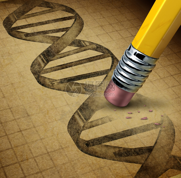 基因工程和dna操纵是转基因食品或活生物体的技术科学其图象是用铅笔擦拭器改变纸板纹理上的底线图片