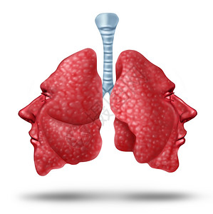了解肺部健康和人类概念以内呼吸器官的两侧形成为人头作白种背景的复健问题交响剂图片