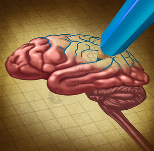 修复脑部恢失忆的医学概念将失忆的医学概念视为人类的思维器官缺掉的部分用蓝铅笔重新绘制作为医生护理和神经学或洗脑研究的象征和缩写图片
