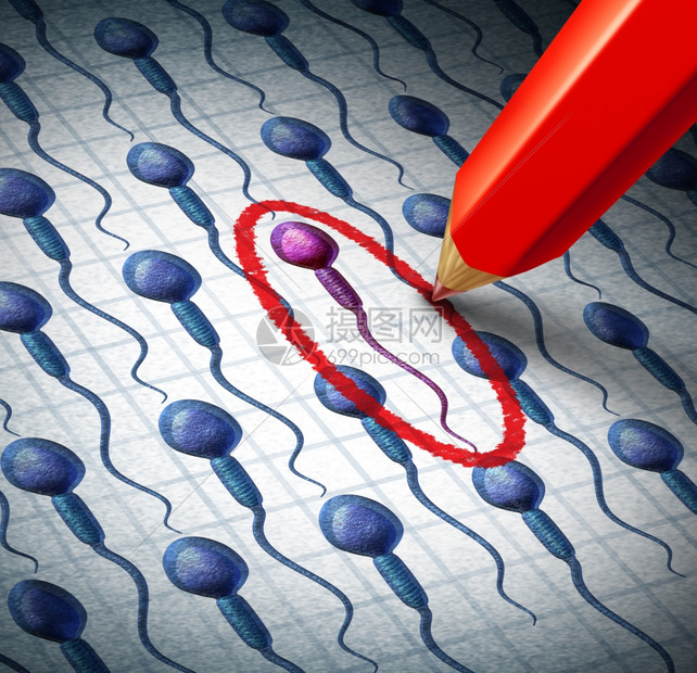 人类精子选择和分为生殖概念用于选择婴儿别或最佳男基因将雌蛋作为红铅笔施肥绕着一组细胞所选精子图片