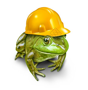 青蛙帽子图片