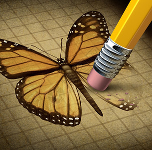 失去希望和信仰是个人绝望的社会概念象征着君主蝴蝶的象征被铅笔抹去图片