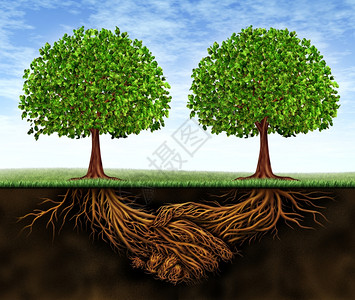 团队合作增长是金融的象征是两个伙伴之间的交易如种植树木和以握手为形态的地下植物根结果越来成功图片