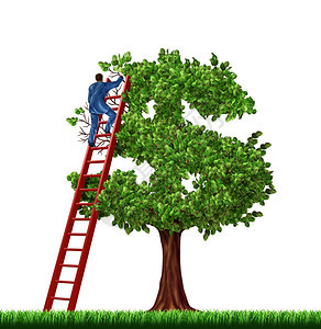 管理一棵钱树的成长形成美元标志白色背景图片
