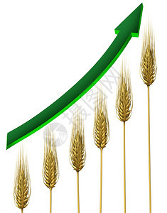 农耕业和商利润象征着小麦图和绿箭的上升增长以白色背景向上看是粮食价格增长的象征图片