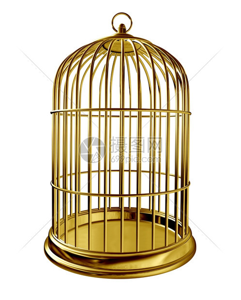 笼子里有金属黄铜作为被囚禁和困或关在闭的牢房里被隔离在白色背景之下图片