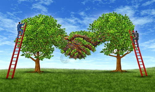 建立商业信任并通过协议建立金融伙伴关系协议规定两棵树以手摇的方式与商人携手合作为成功而奋斗图片