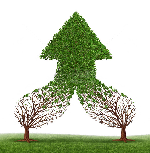 作为商业象征和金融兼并的概念携手合作将两棵树连接和合并成一棵树形