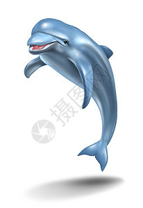 海豚以白色背景在空中跳跃成为海洋生命的一个有趣自然象征图片