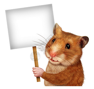 一只可爱的老鼠像哺乳动物微笑地传达一个重要的兽医或信息图片