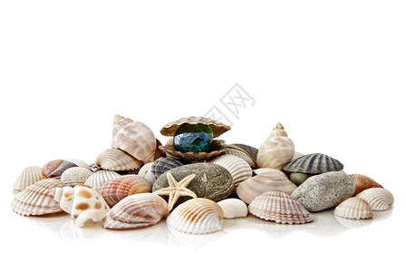 各种彩色贝壳有丝状珍珠图片