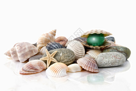 各种彩色贝壳白上隔离的有丝状珍珠图片