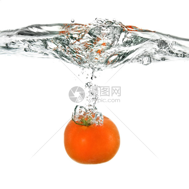 水栽西红柿怎样播种