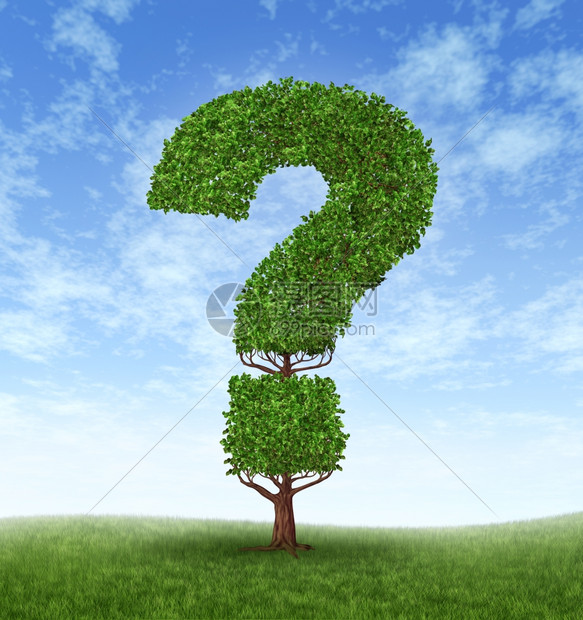 在蓝天和草地上以问号形状的树种信息增长作为答案的