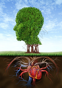 以一棵树为人体头形作根的心脏器官生长在地下代表着大脑智能与血液循环系统之间的医学和保健生物联系图片