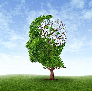 脑部疾病是功能丧失和患有痴呆症阿尔兹海默斯夸疾病是树的医学标志其形状是人头和大脑叶子流失是智力和记忆中的挑战图片
