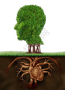 有机活和健康的生方式概念树形为人头根解剖心脏器官代表素食生命为长的身体吃蔬菜和水果背景图片