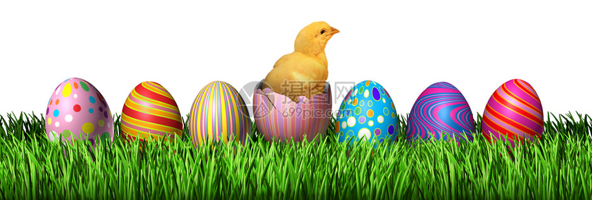 东方小鸡和装饰蛋与一只小鸟在开放的蛋壳与3d插图元素图片