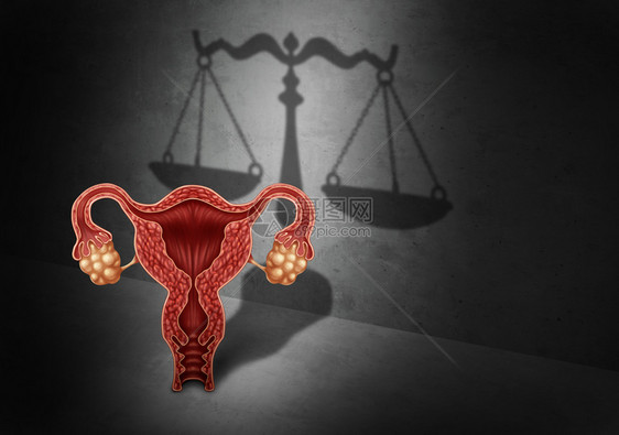 堕胎法和生殖是权的律概念作为政府立法以三维示例要素决定有关生命或选择的法律图片