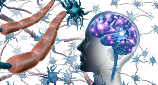 大脑和神经系统内的细胞解剖概念作为人类神经学和功能障碍的象征具有三维插图元素可致多重硬化或阿尔茨海默氏病图片