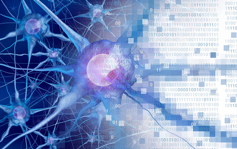 ai大脑ai和神经科学或数字大脑的功能概念是人工智或虚拟现实技术3d背景