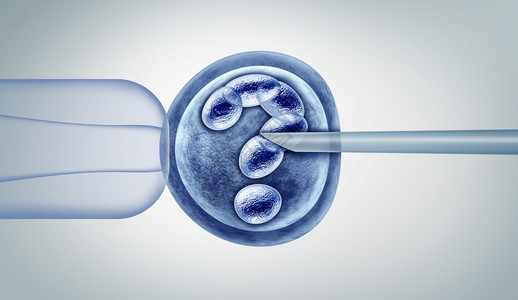 体外基因组工程和医学生物技术的基因编辑问题和研究作为健康护理概念与受精的人类卵胚胎和一组分解细胞作为三维图解图片