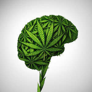 脑和神经学对将草叶作为或药患者作为人体器官的思考产生了影响并对3d插图样式中的心理学或精神活强药物概念产生了影响图片