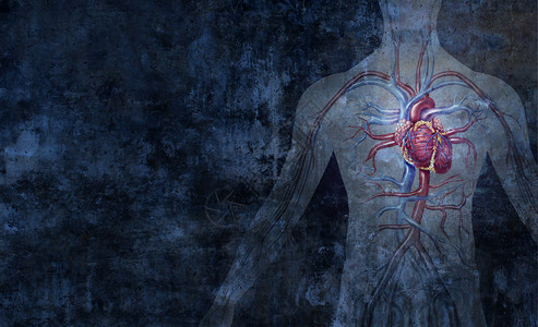 人类循环系统以及心脏动脉和静器官将抽象背景作为3d插图样式中的人类心脏功能符号图片