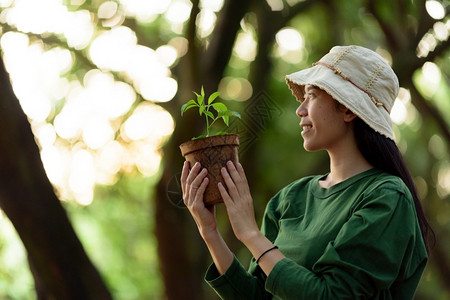 植树保护环境图片