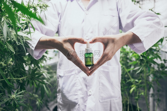 cbd油手持瓶以对付植物草药治疗替代物图片
