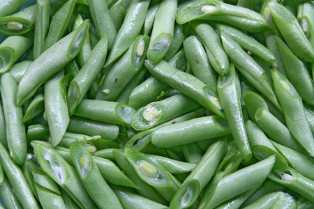 豆图片素材