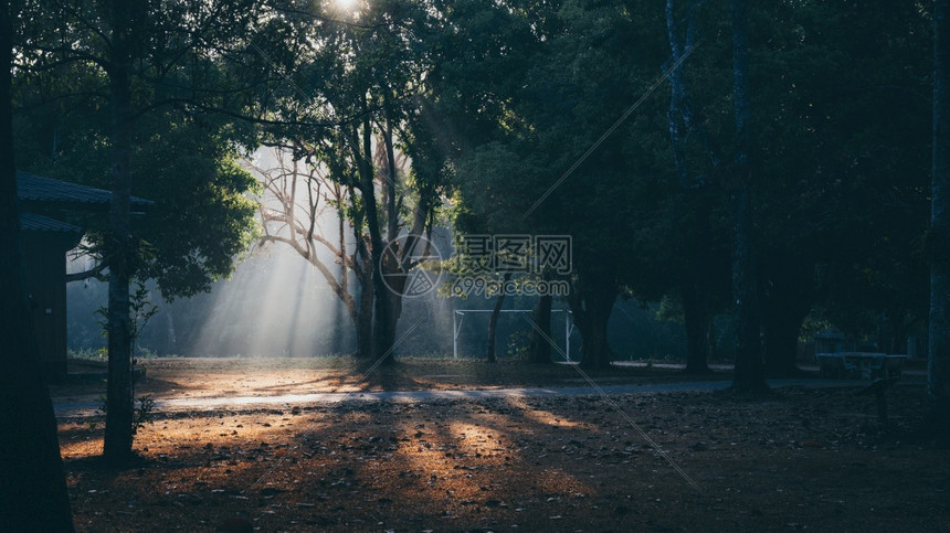 清晨在泰公园赵耶baoyei的现场图片