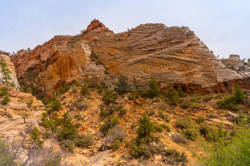 zionutahniedsa的zion公园的山地景观图片