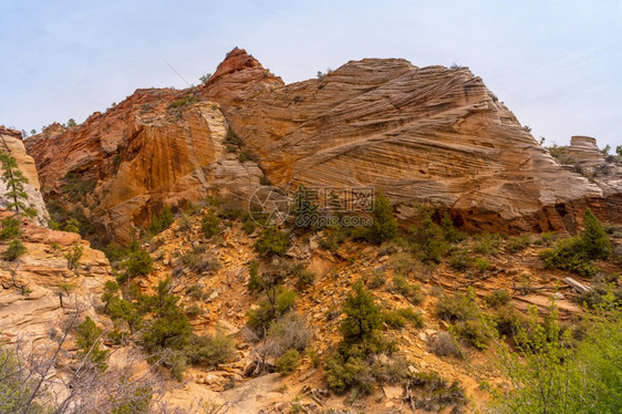 zionutahniedsa的zion公园的山地景观图片