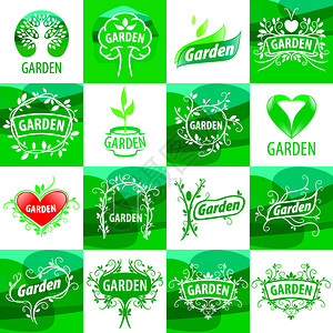 无根种植蔬菜大棚插画