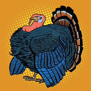 家禽火鸡现实流行艺术复古矢量说明农场动物感恩节图片