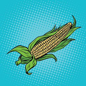 流行艺术玉米插画图片