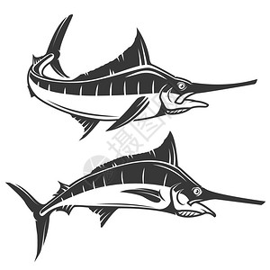 旗鱼白背景上的箭鱼图标矢量说明插画