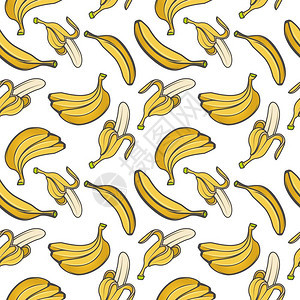 香蕉无缝模式夏季水果素食品矢量说明图片