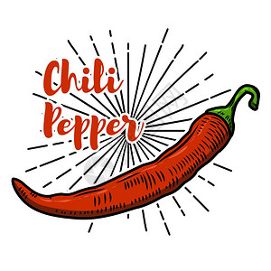 上白下黑白背景上孤立的辣椒插图矢量设计图片