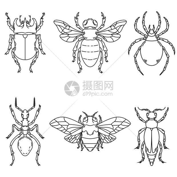 甲虫矢量图标插画图片下载-正版图片302018758-摄图网