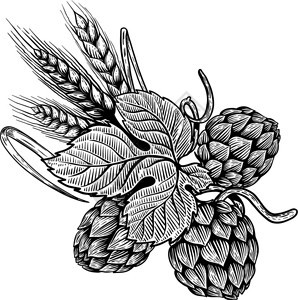 手绘小麦种子卡通矢量设计元素背景图片