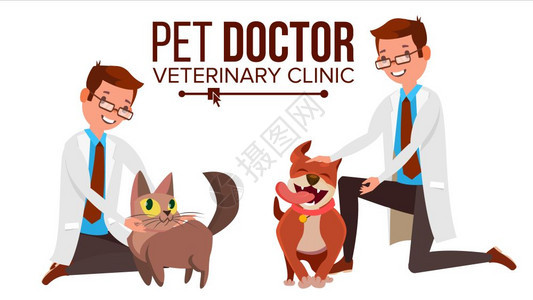 宠物医生和猫狗 背景图片