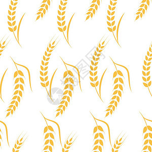 农业小麦背景矢量图示设计图片