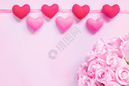 粉红玫瑰花色背景复制空间最小风格图片
