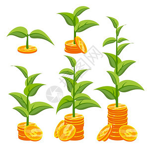 创造投资增长金币植物矢量元素背景图片
